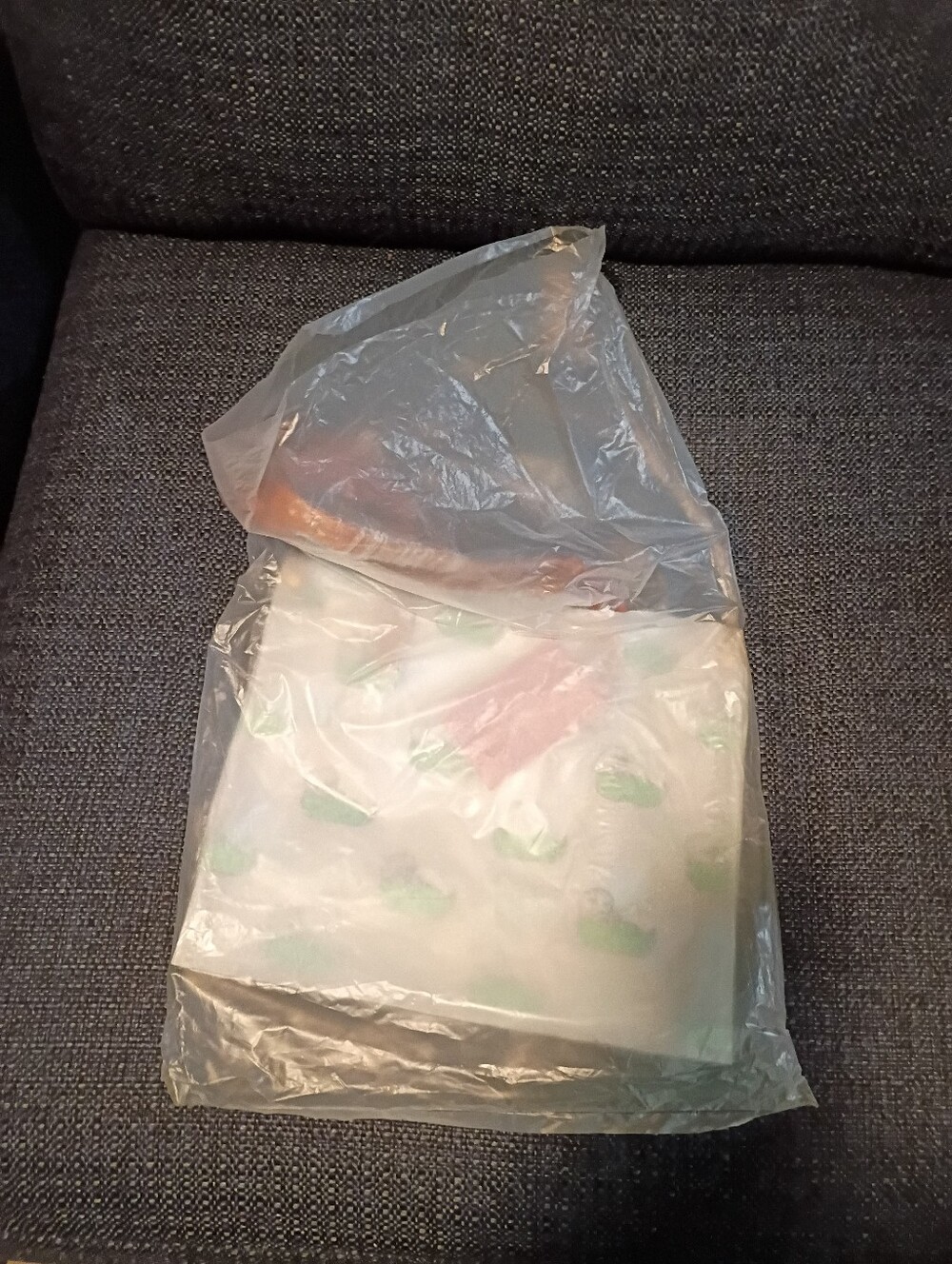 Dooney and Bourke Clear Medium Shopper WithGreen Dooney Ducks